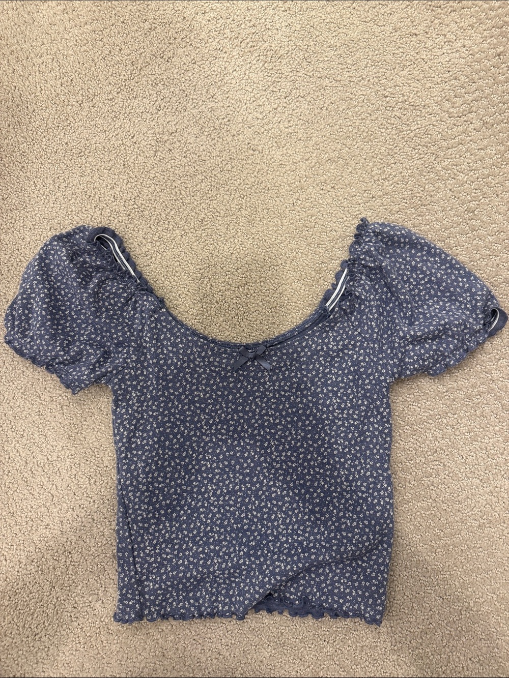 American Eagle Outfitters Blue Floral Puff-Sleeve Crop Top